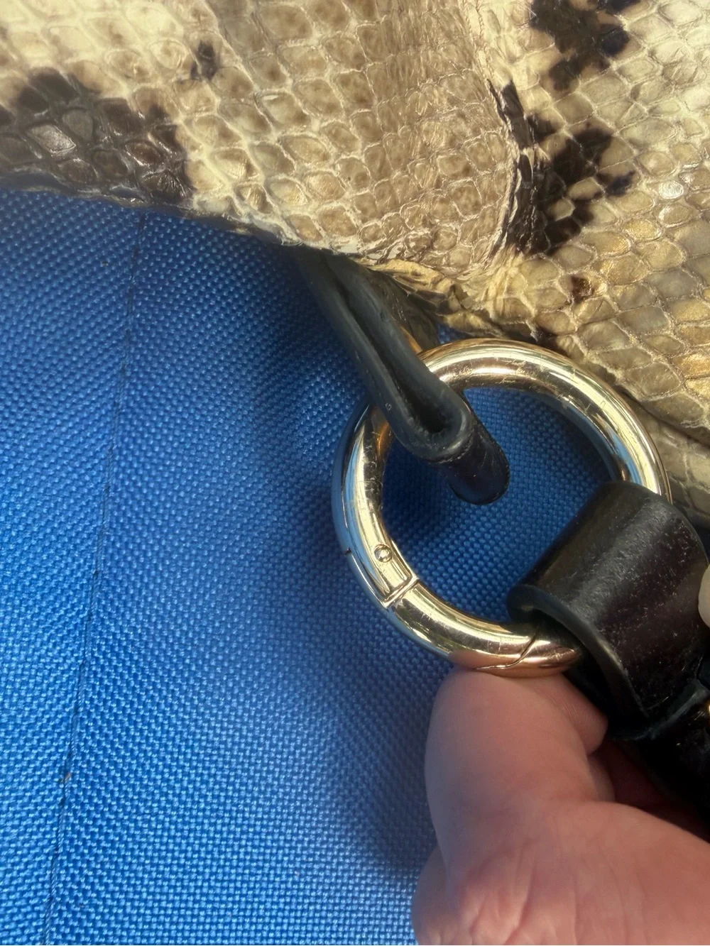 Beautiful Snake-Skin Shoulder Bag with Black Trim and Gold Hardware. Authentic